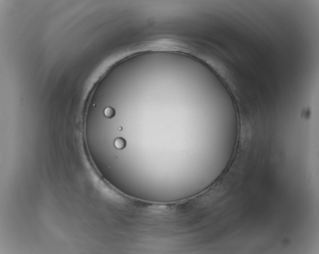 X0000112461478200908241246