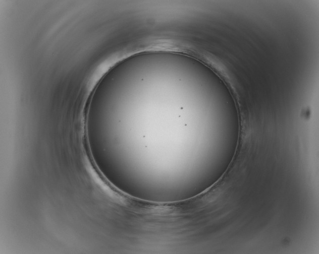 X0000112461479200908241246