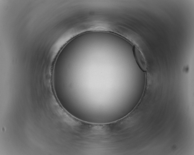 X0000112461480200908241246