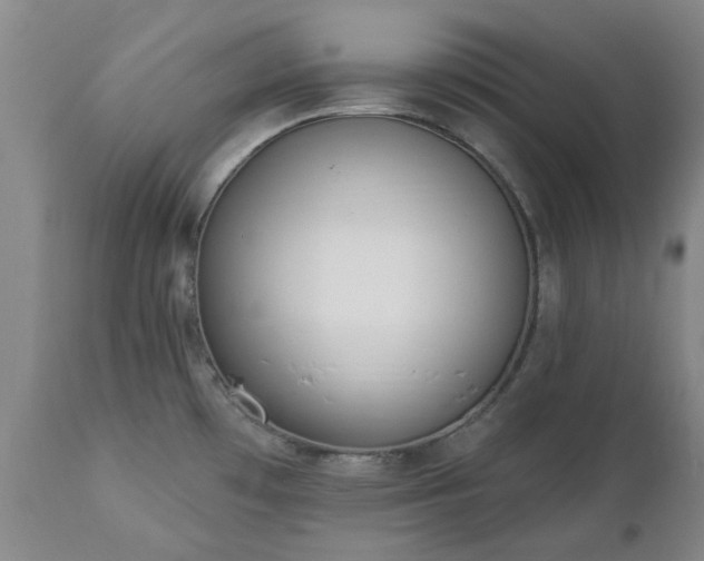 X0000112461481200908241246