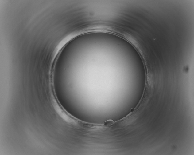 X0000112461482200908241246