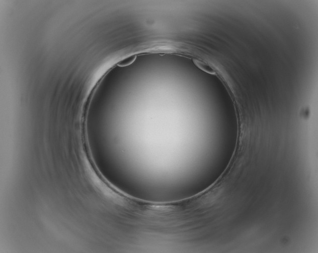 X0000112461483200908241246