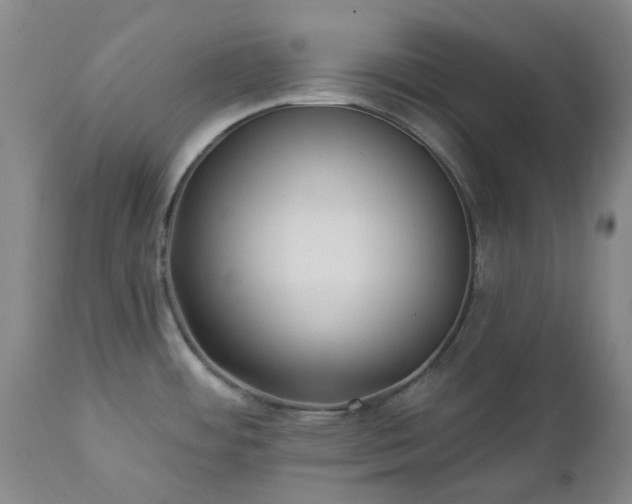 X0000112461484200908241246