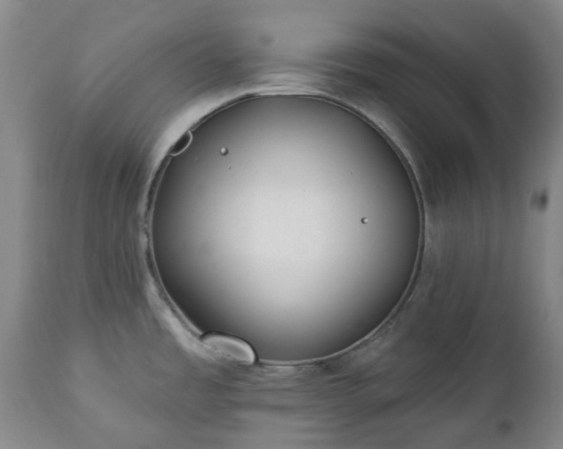 X0000112461485200908241246