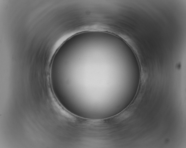 X0000112461486200908241246