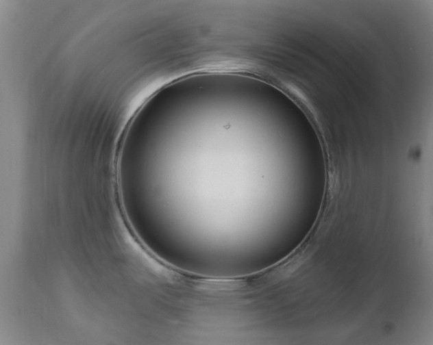 X0000112461487200908241246