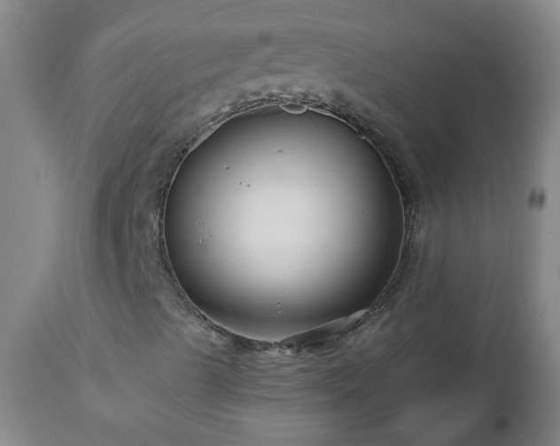 X0000112461489200908241245