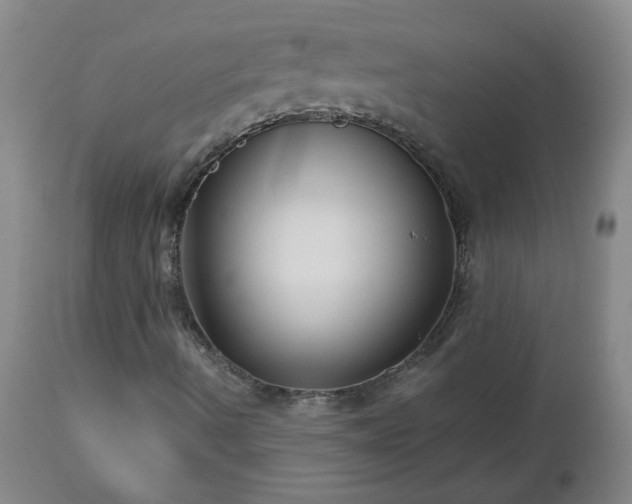 X0000112461490200908241245