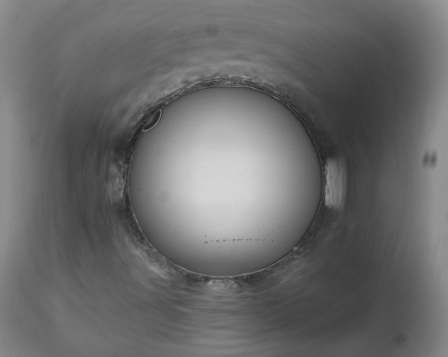 X0000112461491200908241245