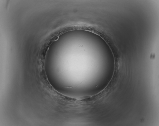 X0000112461493200908241245