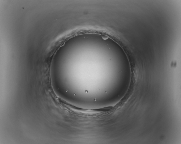 X0000112461494200908241245