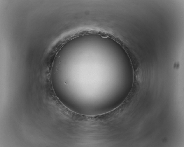 X0000112461495200908241245