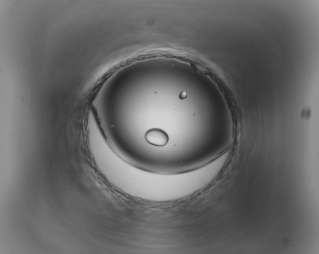 X0000112461496200908241245