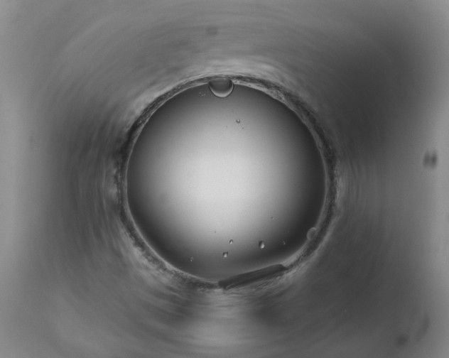 X0000112461497200908241245