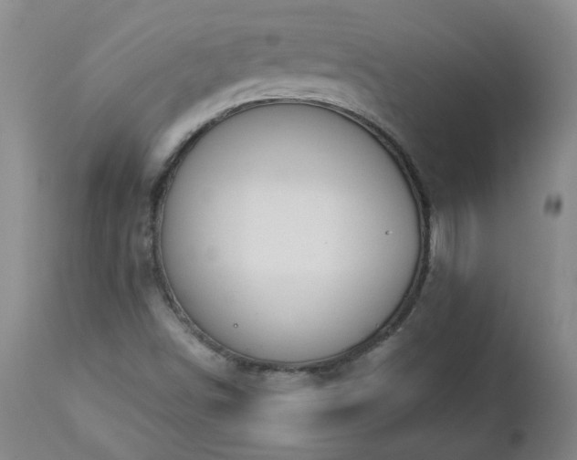 X0000112461498200908241245