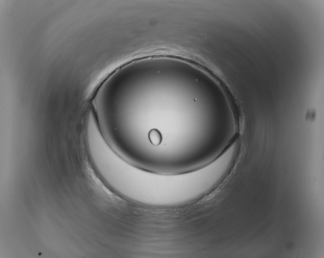 X0000112461500200908241245