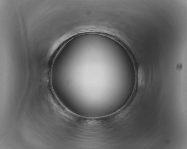 X0000112461501200908241245