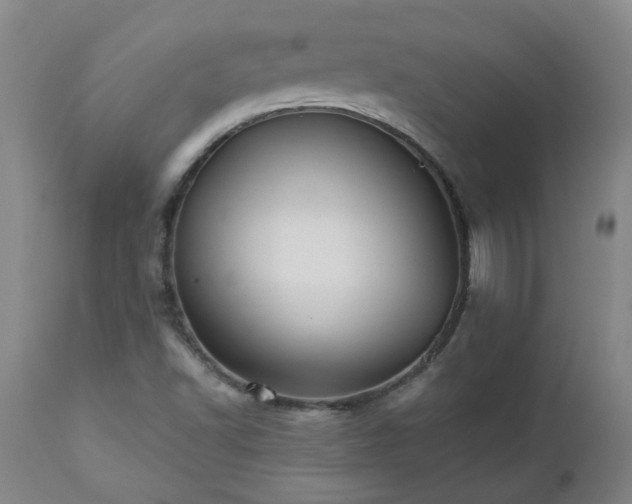 X0000112461502200908241245