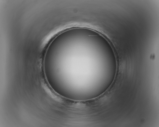 X0000112461503200908241245