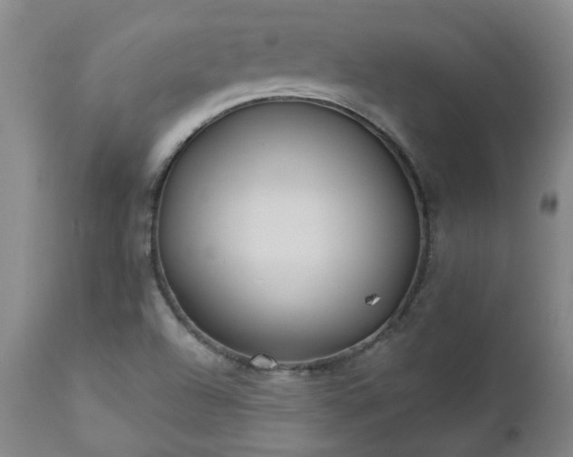 X0000112461504200908241245