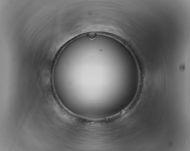 X0000112461505200908241245