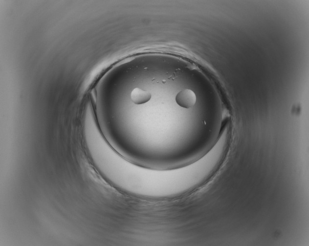 X0000112461506200908241245