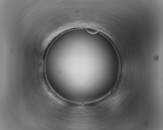 X0000112461507200908241245