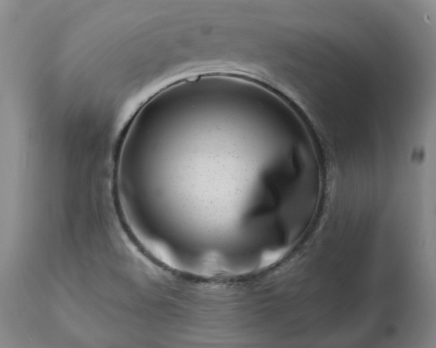 X0000112461508200908241245