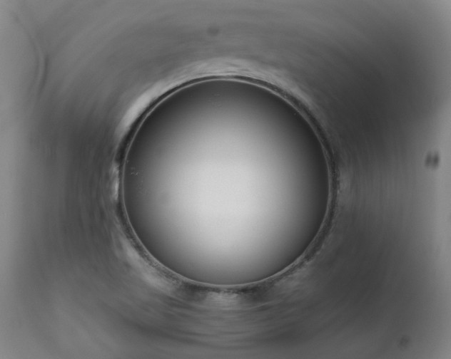 X0000112461509200908241245