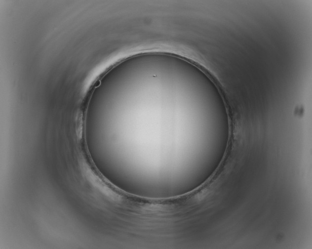 X0000112461510200908241245