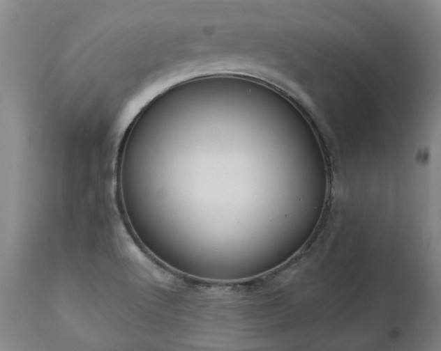 X0000112461512200908241245