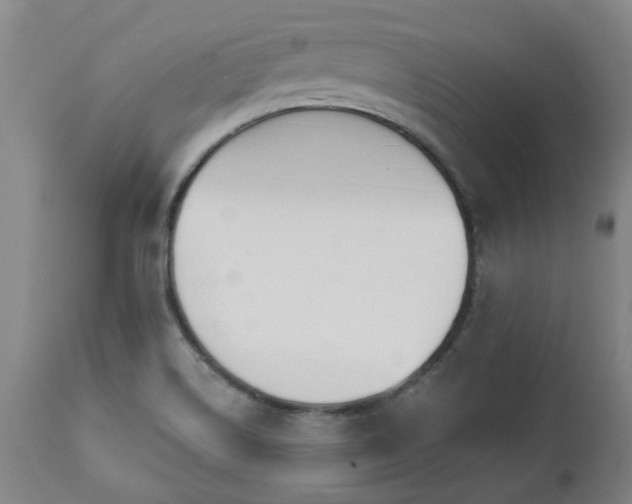 X0000112461514200908241245