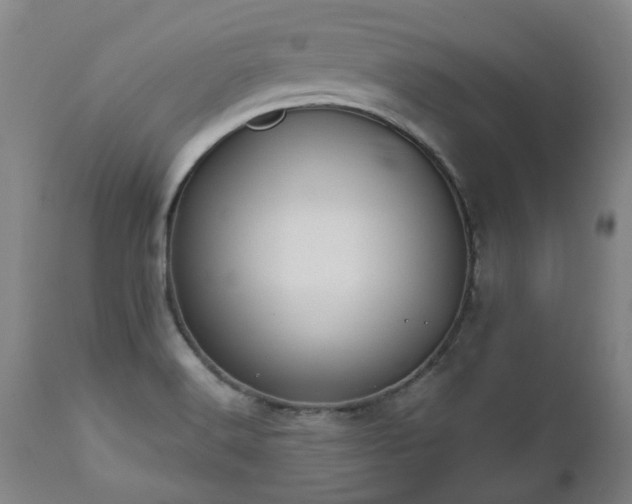 X0000112461516200908241245