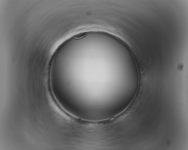 X0000112461518200908241245