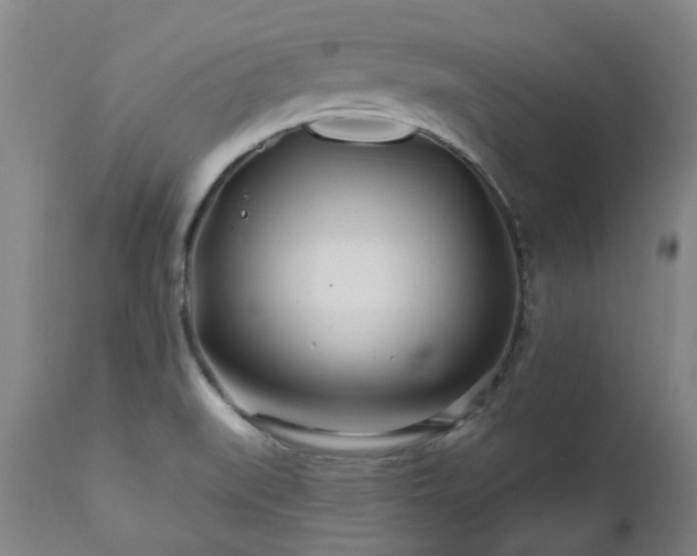 X0000112461519200908241245