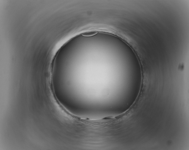 X0000112461520200908241245