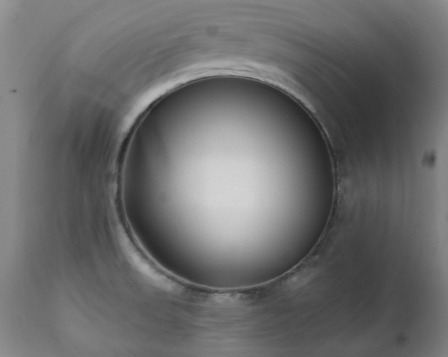 X0000112461523200908241245