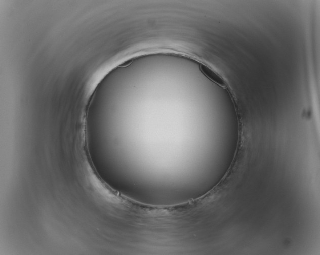 X0000112461524200908241245