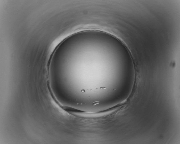 X0000112461527200908241245