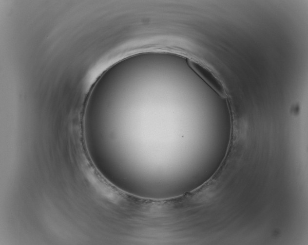 X0000112461530200908241245