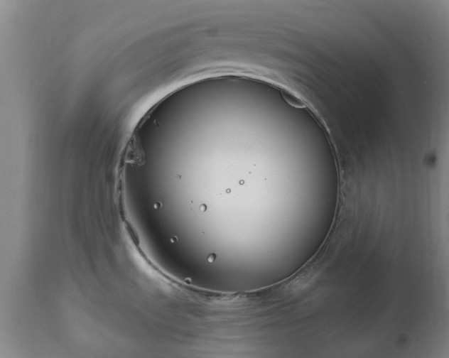 X0000112461535200908241245