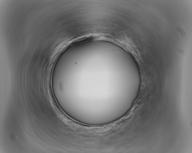 X0000112460001200908311338