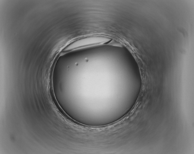 X0000112460002200908311338