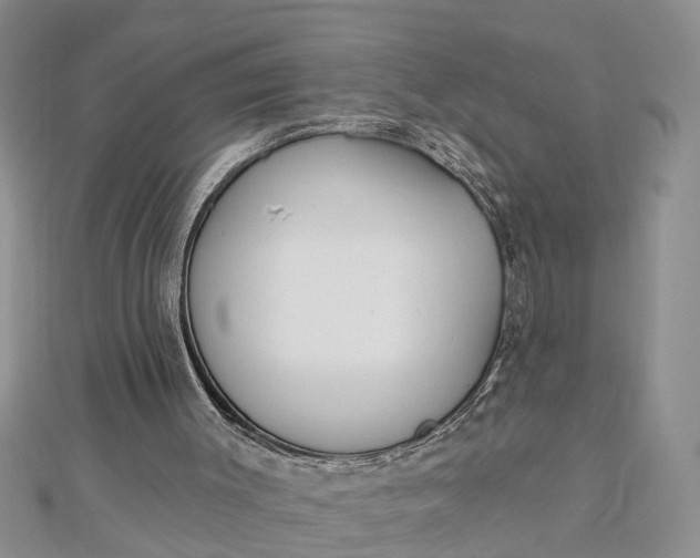 X0000112460003200908311338