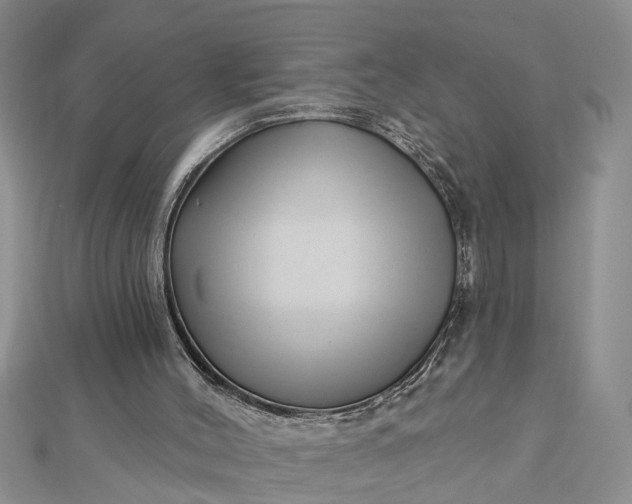 X0000112460004200908311338