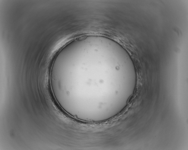 X0000112460005200908311338