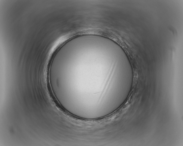 X0000112460006200908311338