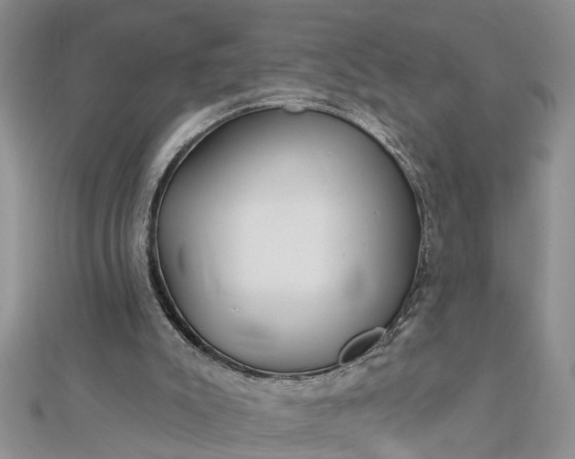 X0000112460007200908311338