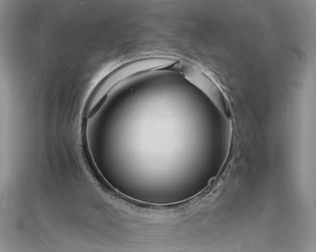 X0000112460008200908311338