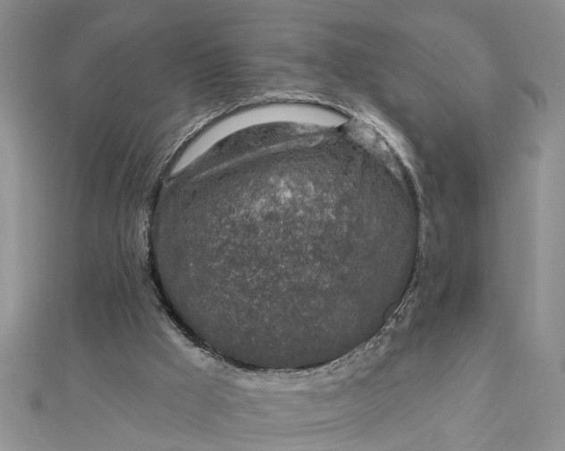 X0000112460009200908311338